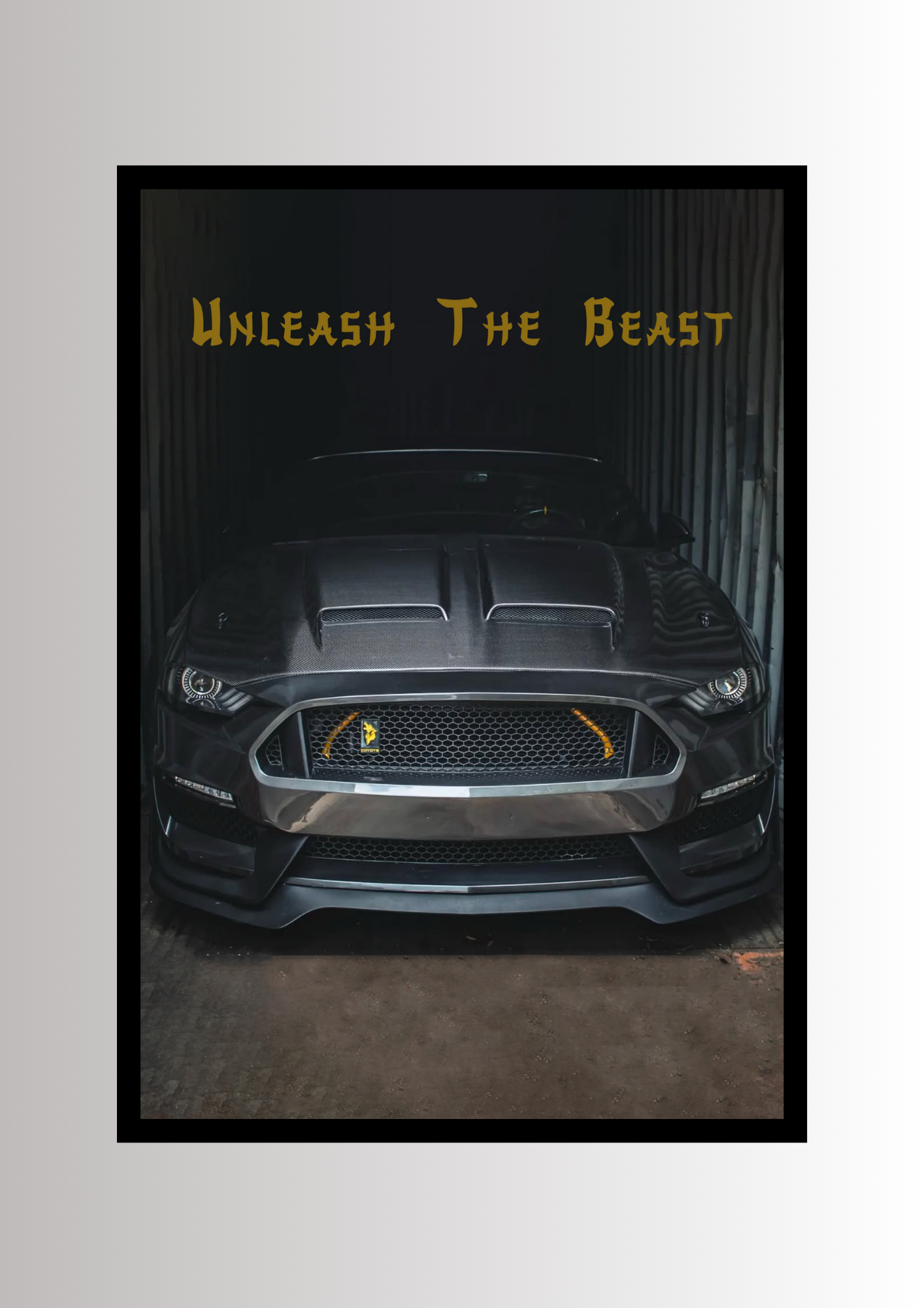 Mustang GT Coyote Gen 3 PP1