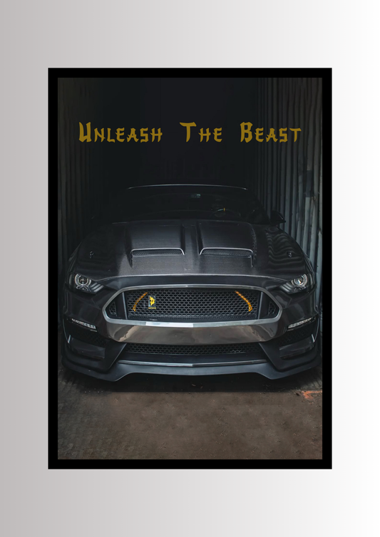 Mustang GT Coyote Gen 3 PP1